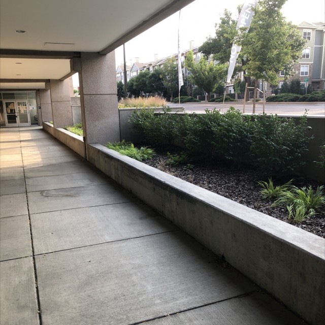 Medium sized ledges 