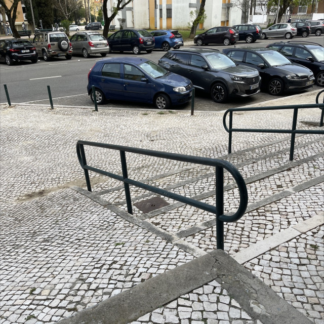 Absolute penis rail