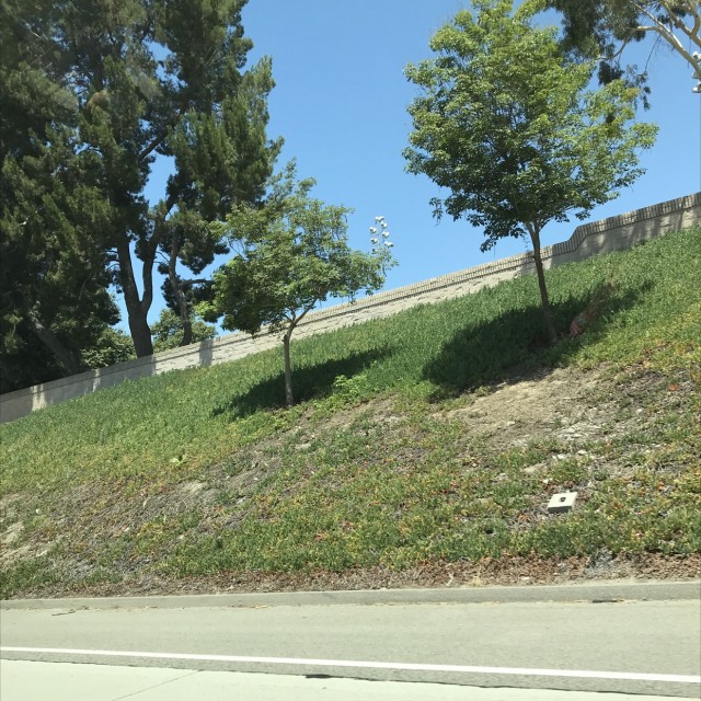 Grass bank