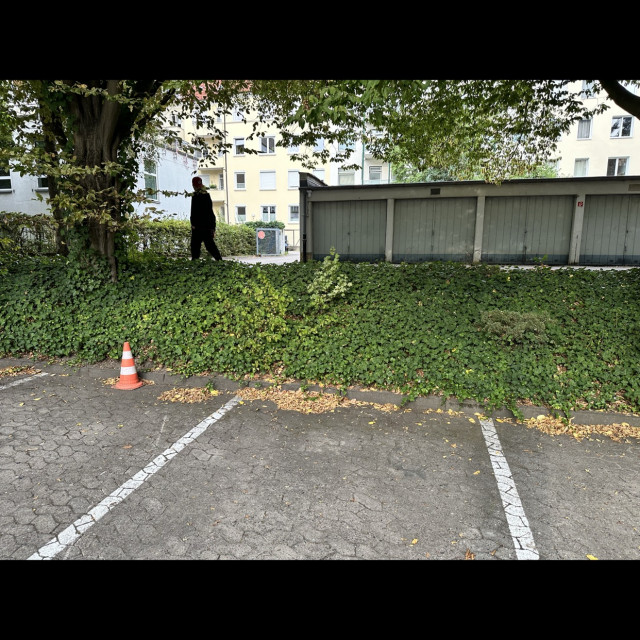 Spot #49555