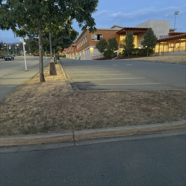 Spot #42997