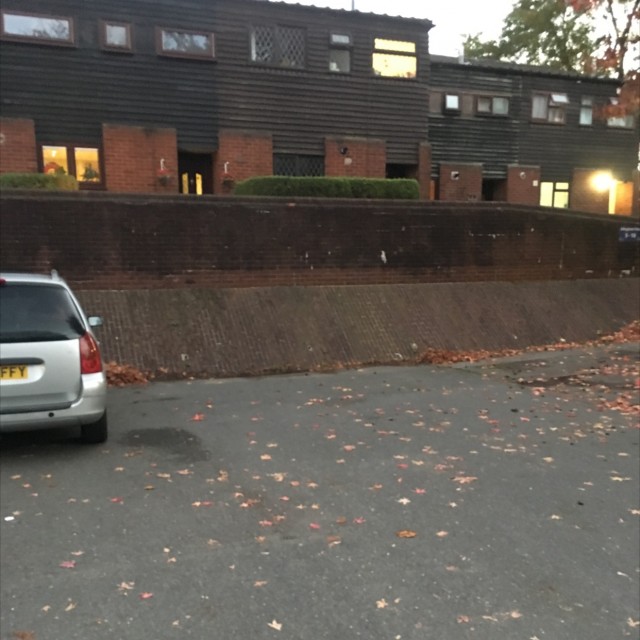 Spot #11461