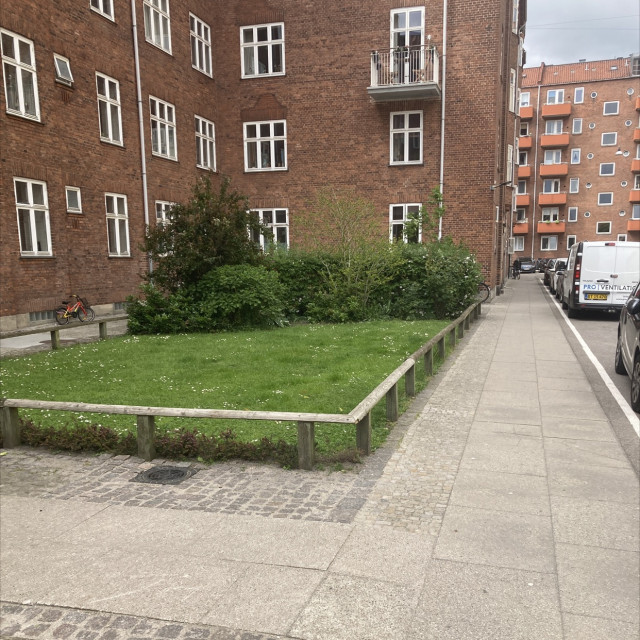 Spot #31384