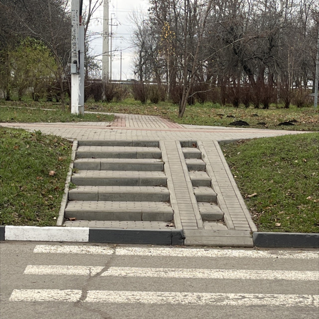 New born spot
