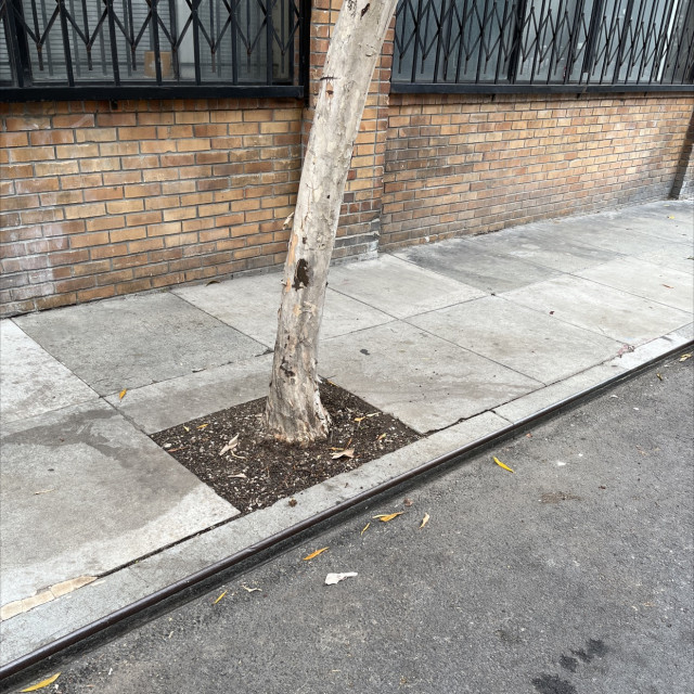 Coping curb