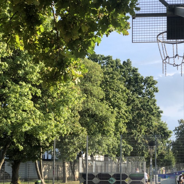 Skatepark Zentralfriedhof