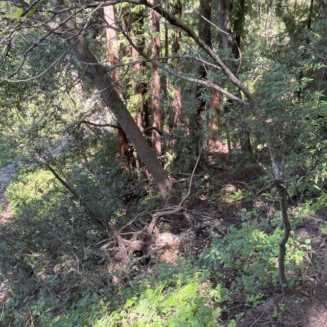 Dope sesh spot 