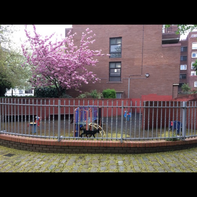 Spot #10585