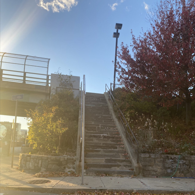 Mark wodja rail 