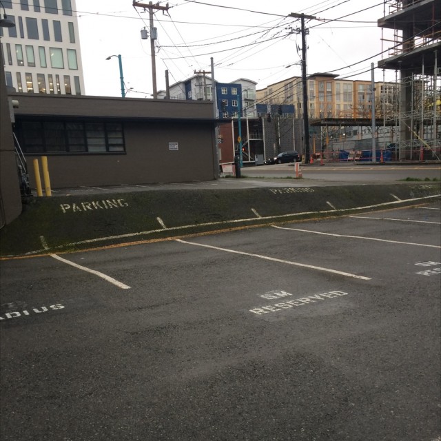 Spot #6976