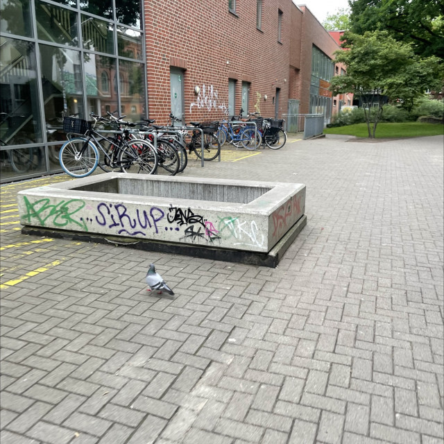 Mini Ledge 