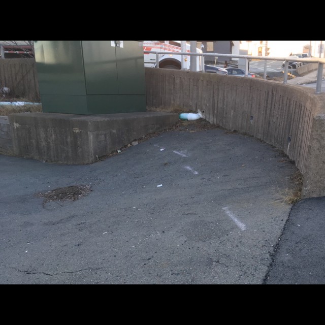 Spot #12058