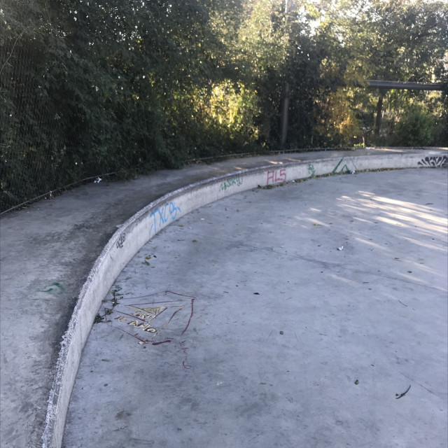 spot