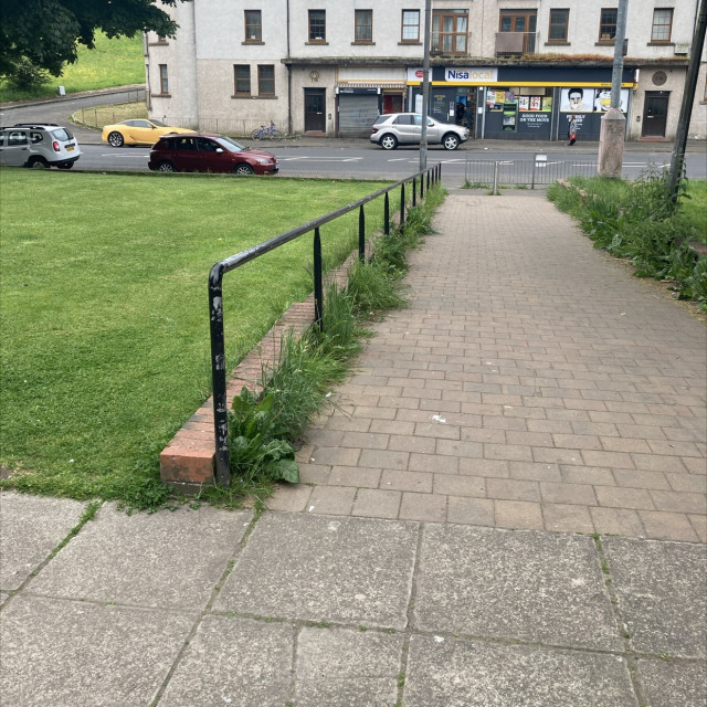 Spot #26246