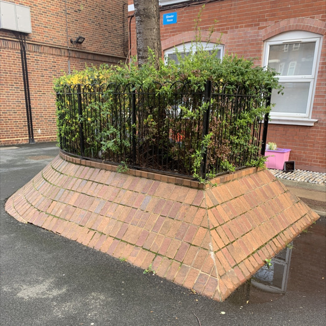 Bank too fence 