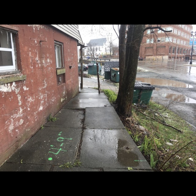 Spot #17372