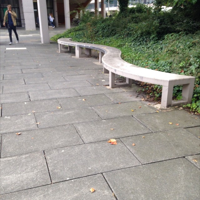 Spot #5961