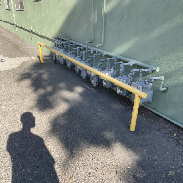 yellow flat bar