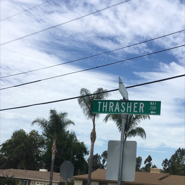 Thrasher hill