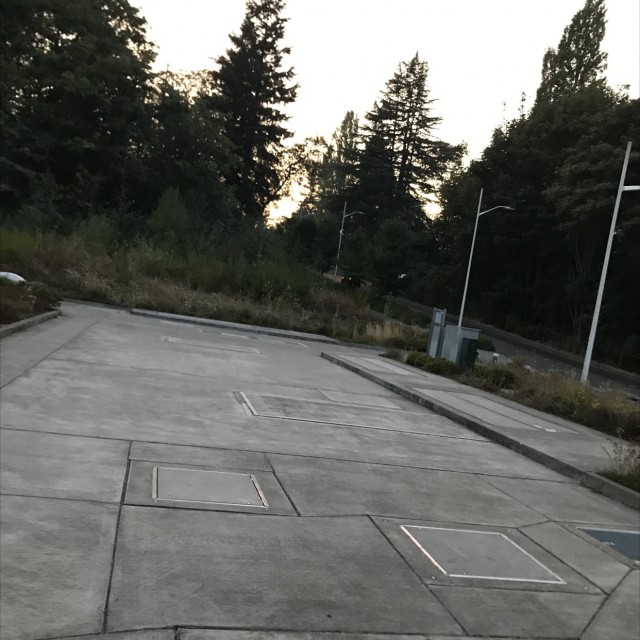 Magnuson Park many pad