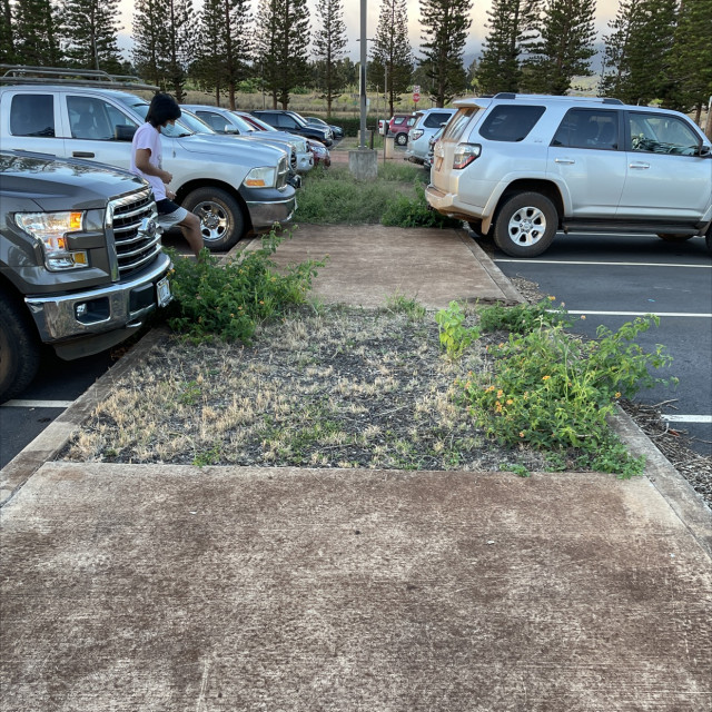 Curb manny pad and gravel gap