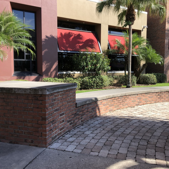 usf spots buffay