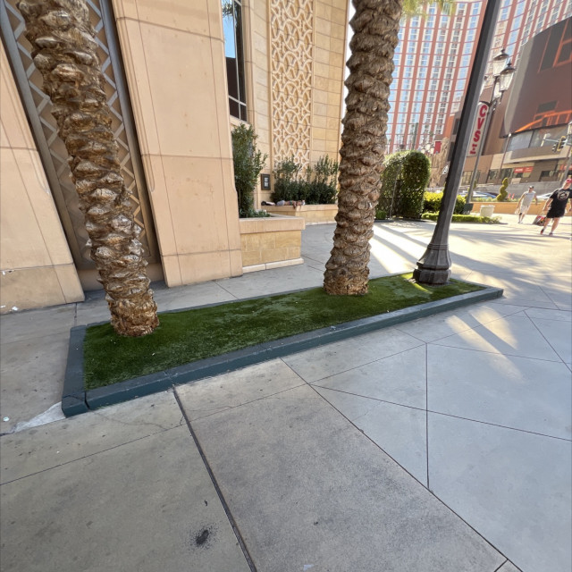 lil slappy curb