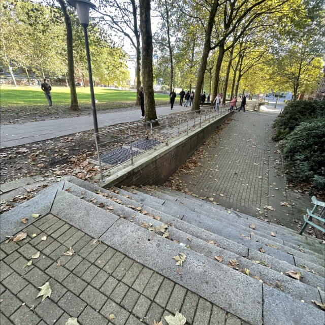 Fettes Rail 