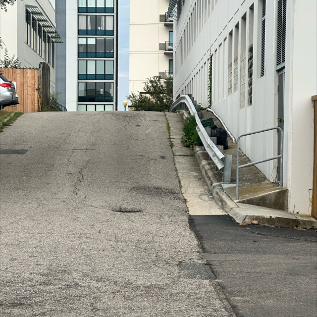 Hesh guard rail 