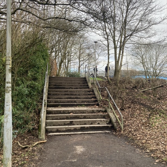 Spot #23648