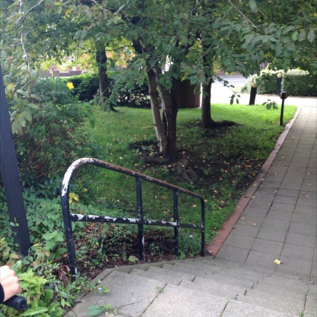 Spot #5909