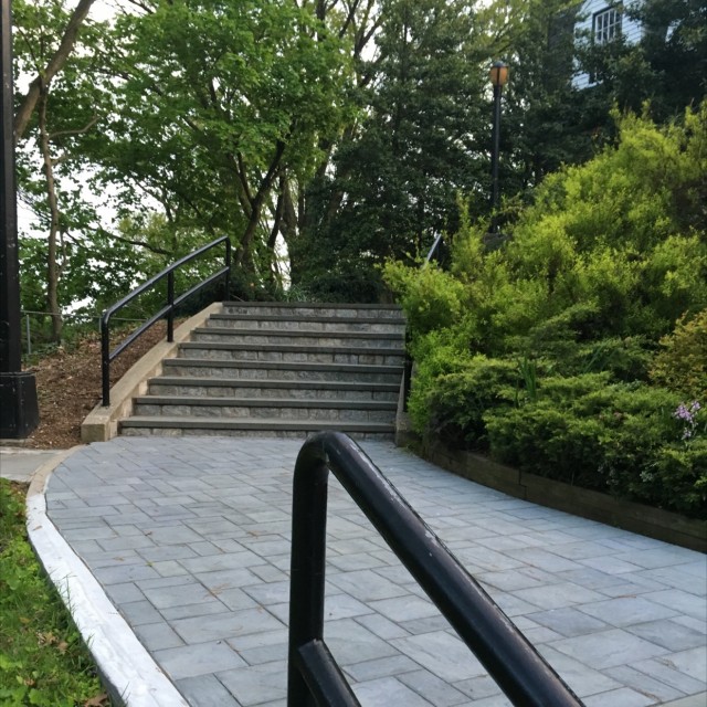 Spot #7431