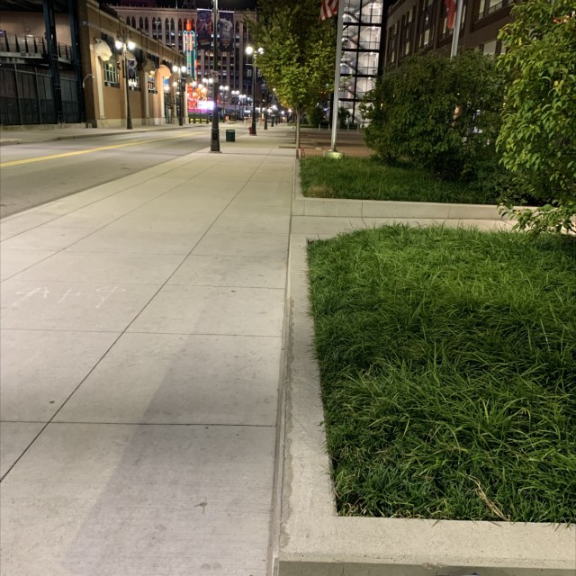 Comerica Flat ledges