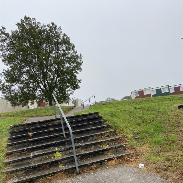 Spot #19022