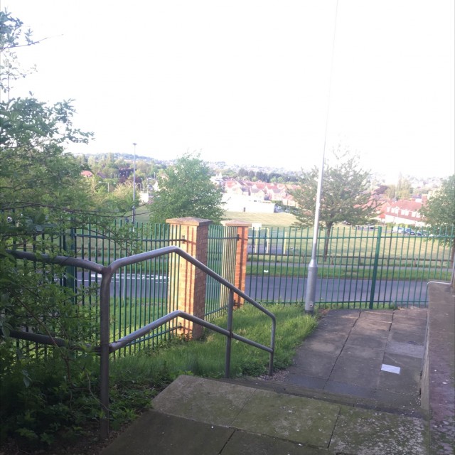 Spot #10442