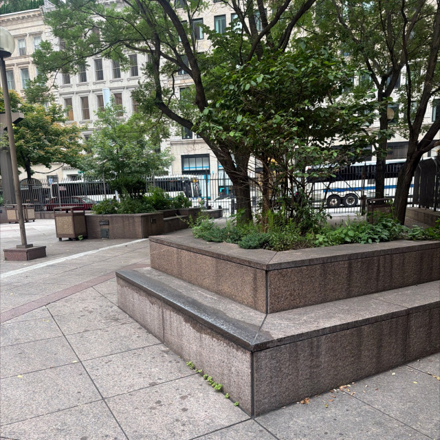 Federal skate plaza
