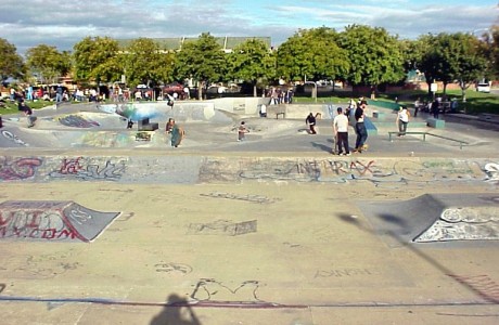 Vic West Skatepark