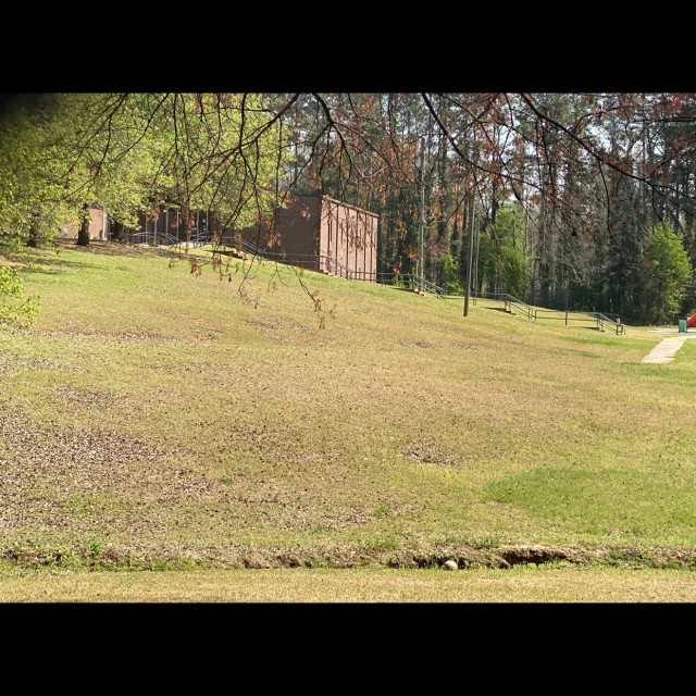 Hollydale kink