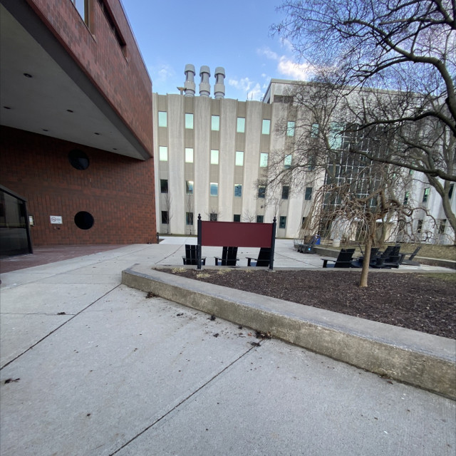 Spot #30538
