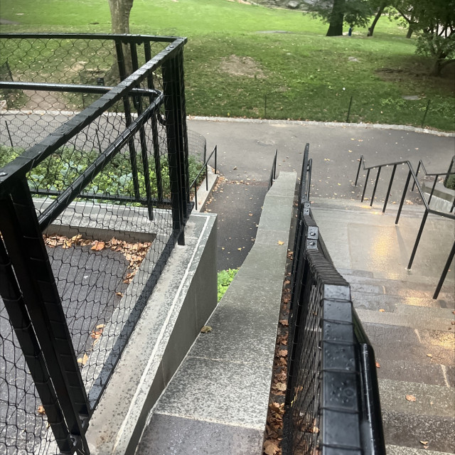 Central Park Drop in