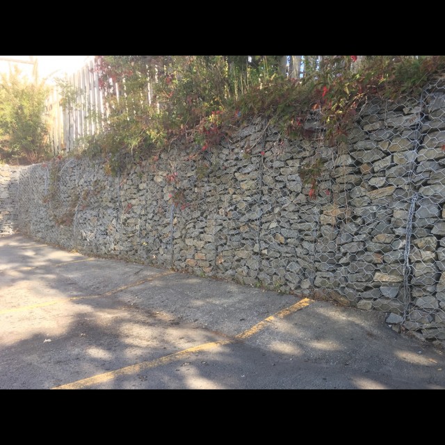 Spot #14641