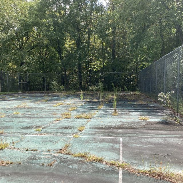Little Court