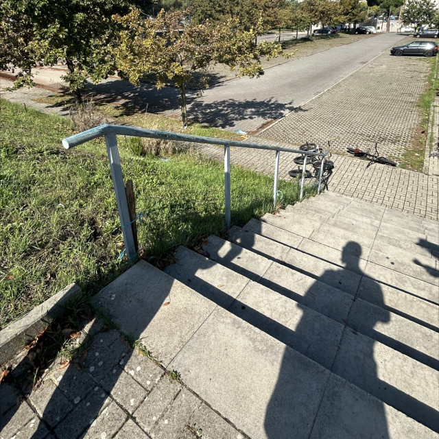 Rail 