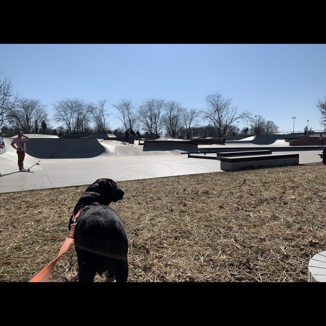 Jolie Skatepark