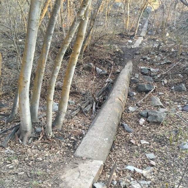 Log ride