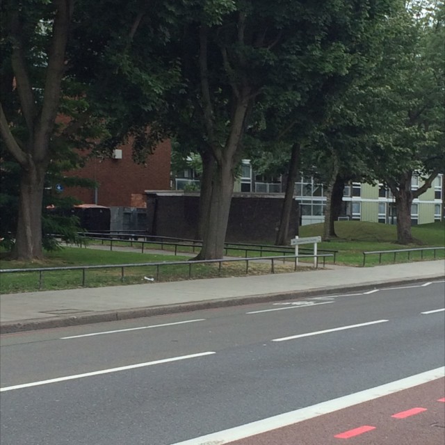 Spot #5141