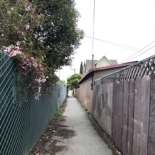 Cool alley