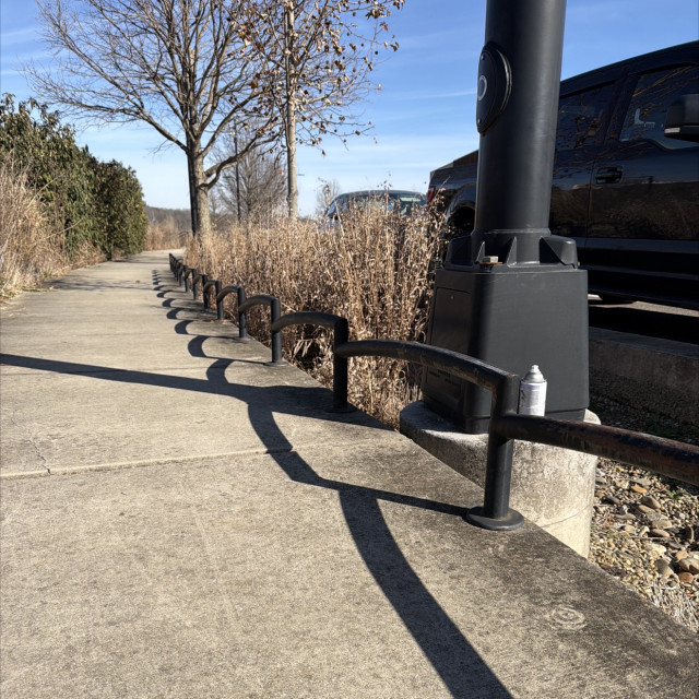 River side shark rail 