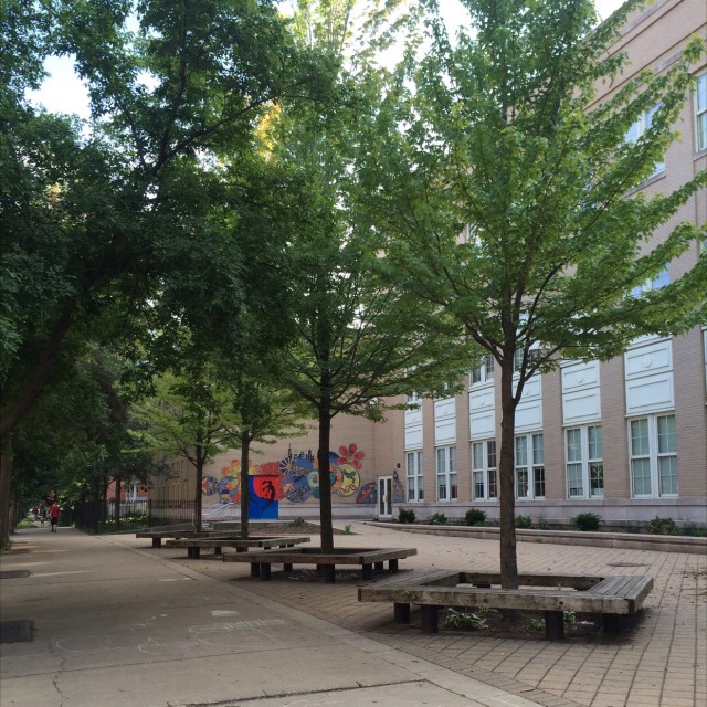 Thorndale tree benches 