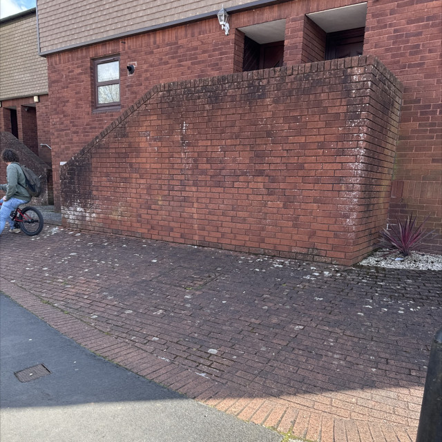 Spot #41195
